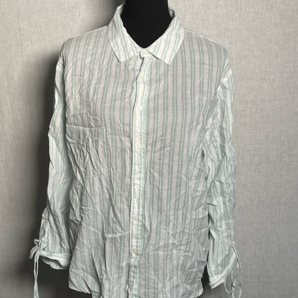Impeccable, pig,‎ long sleeve button down